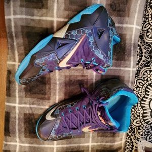 Lebron 11 hornets